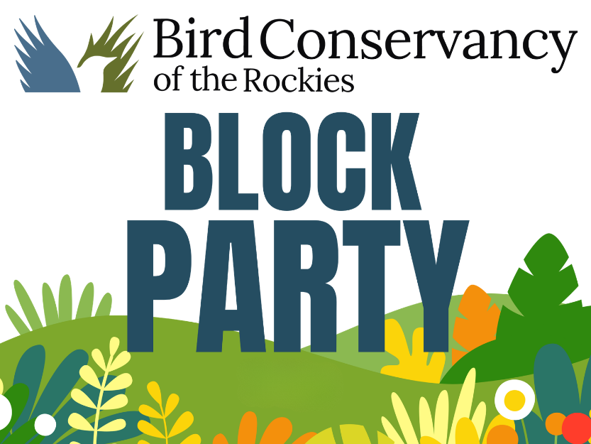bird conservancy of the rockies block party